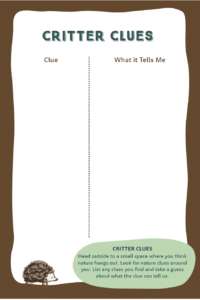 City Safari activity sheet